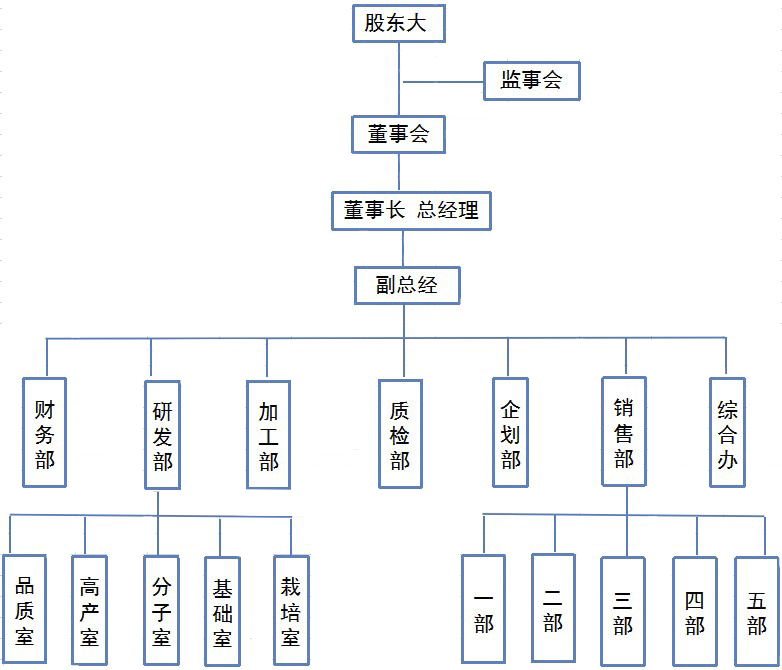 组织架构.jpg